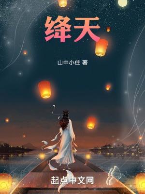 绛天战甲积木人