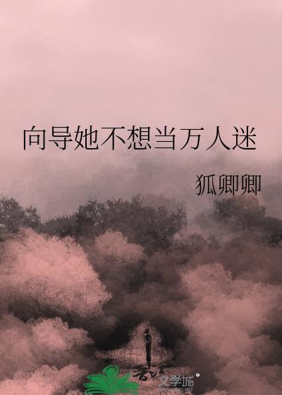 向导她不想当万人迷TXT