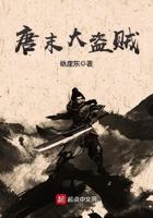大唐魔盗团简介