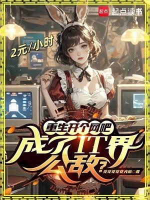 重生做网吧计费的