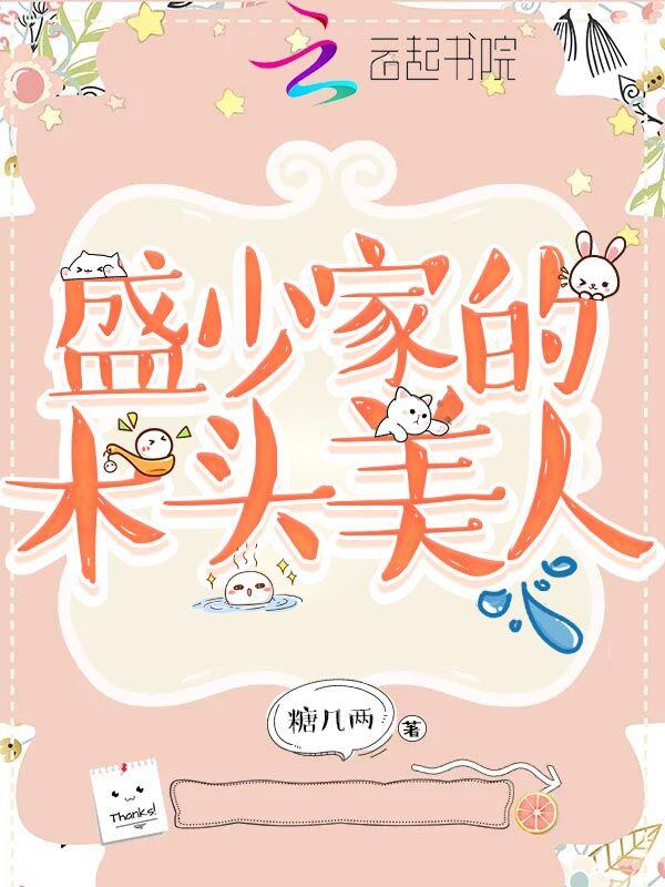 盛少是谁