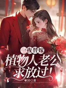 一夜替嫁植物人老公求放过是什么书