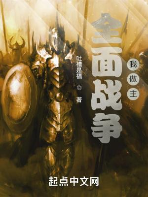 全面战争三国细作