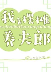 我靠摆摊养夫郎作者三五余七
