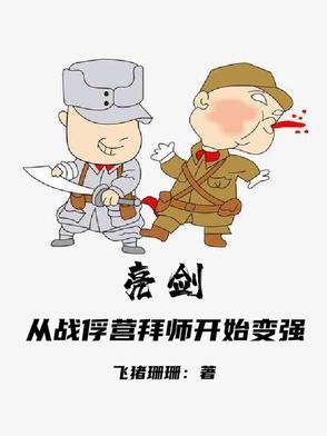 亮剑 俘虏