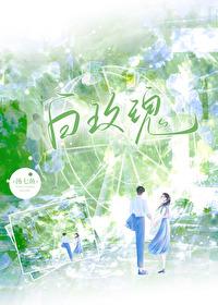 白玫瑰歌曲