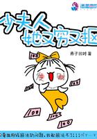 少夫人又抠又琼