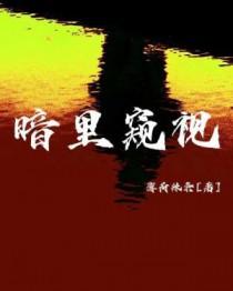 暗中窥见的意思