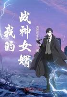 我的战神女婿TXT