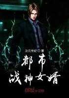 都市之战神女婿叶锋