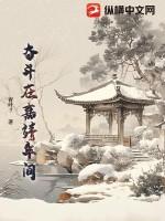 奋斗在嘉靖年间的人