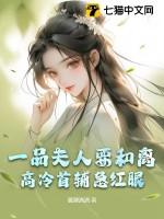 一品夫人之
