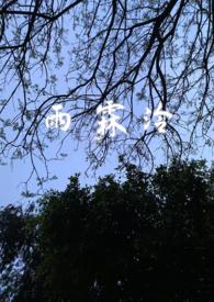 女主角叫雨霖婞的