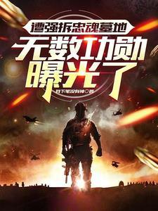 无数功勋曝光了