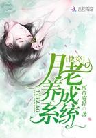 关于月老的系统