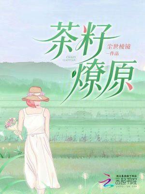 茶籽是什么东西