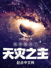 我穿越成了天灾之主 文痴武客