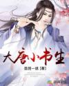 大唐小书生45-100集