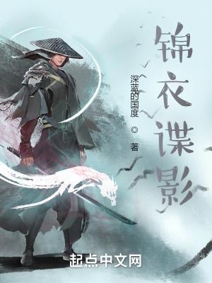 锦衣谍影纠错在线阅读