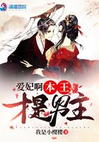 爱妃本王求负责