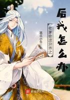 老爹神偷2