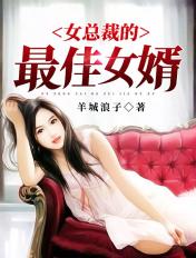 女总裁的最佳赘婿