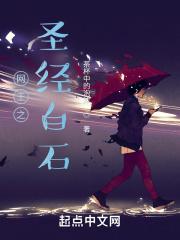 网王之圣经白石免费