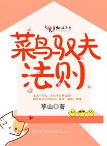 菜鸟夫人