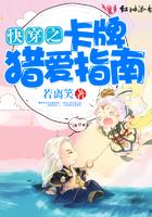快穿之卡牌33