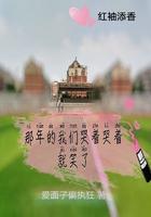 那年的我们哭着哭着就笑了歌词