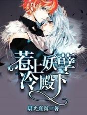 惹上冷殿下第二季