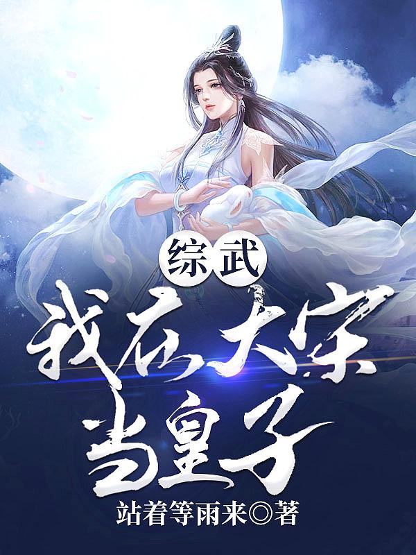 综武我在大宋当皇子动漫