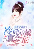重生暖婚甜妻