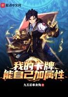我的卡牌能自己加属性笔趣阁