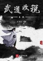 武道收税系统起点