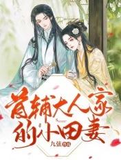 首辅大人的小妻子