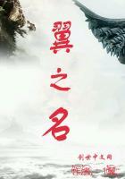 翼之名字解释