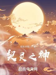 契灵之境阵容