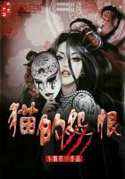 猫恨主人表现