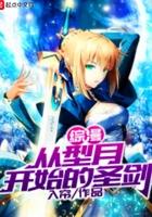 综漫从型月开始的圣剑 入帘