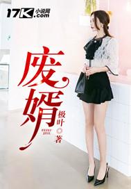 废婿岳风全集免费阅读