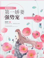 暖婚情深第一宠妻全文阅读