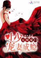 叶少宠妻