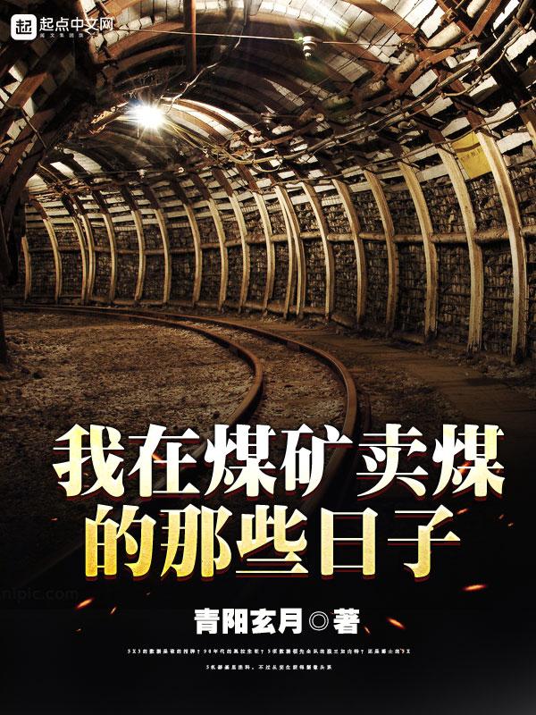 我在煤矿卖煤的那些日子 阅读蒙面裁缝