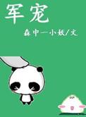军宠军旅高干推荐