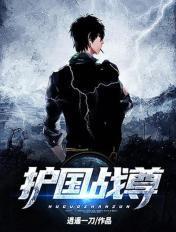 护国战尊林天