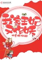 我家王妃又惹祸了笔趣阁