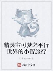 神奇宝贝之小智的旅行路 作者950622
