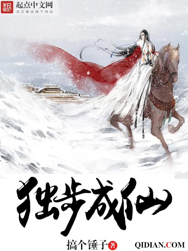 百炼飞升录