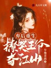 弃王爷免费全本